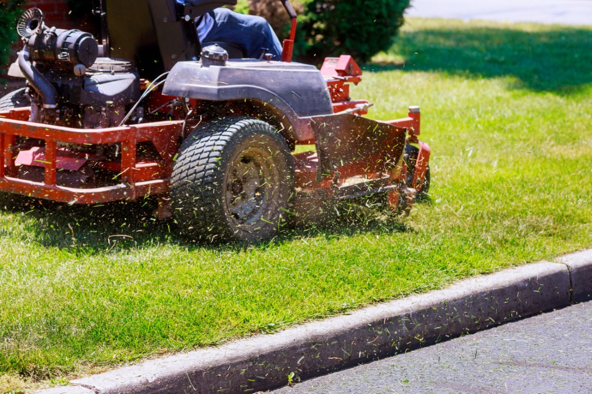 garden landscaping