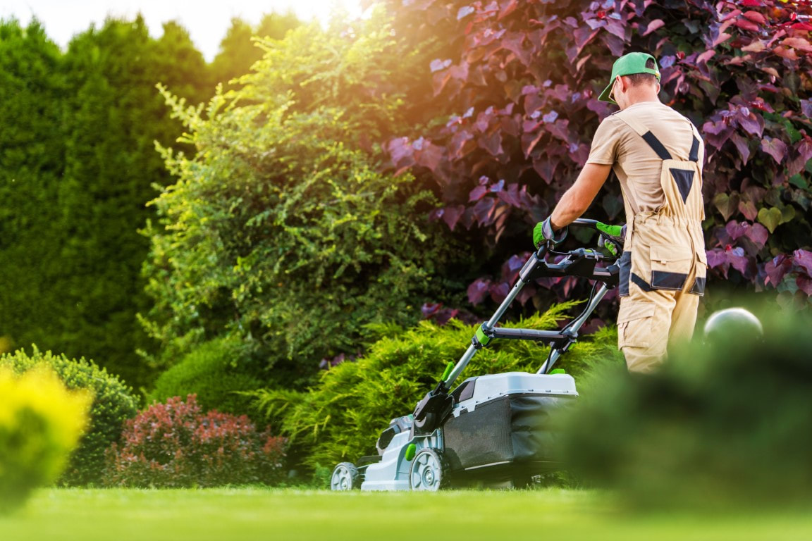front yard landscaping